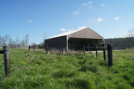 SouthCentral Kentucky Cattle Farm - image 10