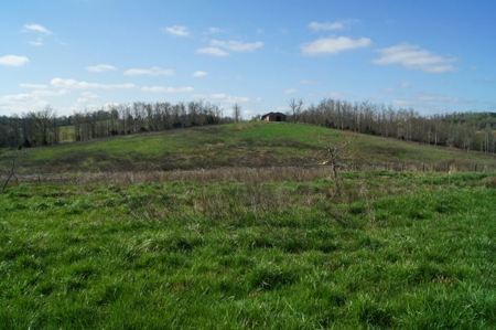 SouthCentral Kentucky Cattle Farm - image 15