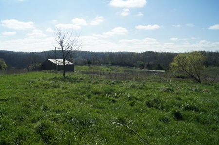 SouthCentral Kentucky Cattle Farm - image 18