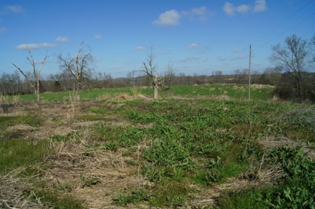 SouthCentral Kentucky Cattle Farm - image 20