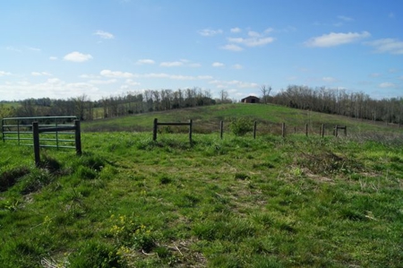 SouthCentral Kentucky Cattle Farm - image 22