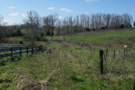 SouthCentral Kentucky Cattle Farm - image 24