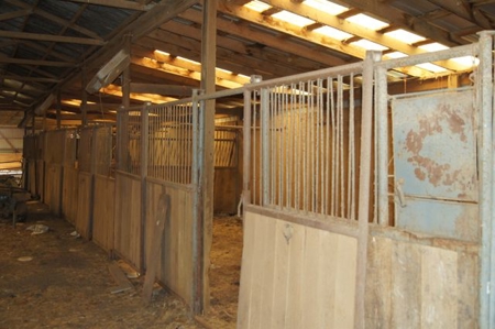 SouthCentral Kentucky Cattle Farm - image 26