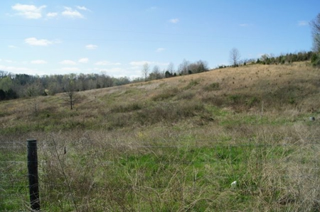 SouthCentral Kentucky Cattle Farm - image 31