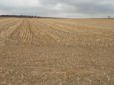 Absolute Multi-Parcel Land Auction - May 6, 2016 - 10Am - image 20