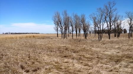 SOLD $3585 per acre! Land near Artesian South Dakota - image 6