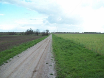 alt=