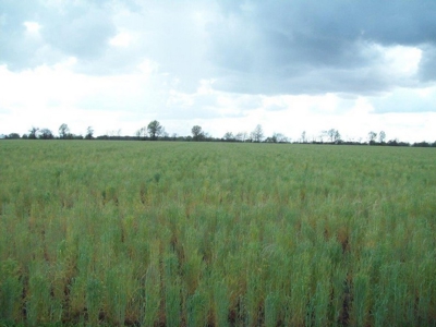 Online Only Farm Land Auction Montgomery County MO - image 2