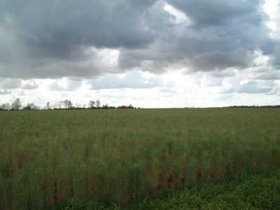 Online Only Farm Land Auction Montgomery County MO - image 3