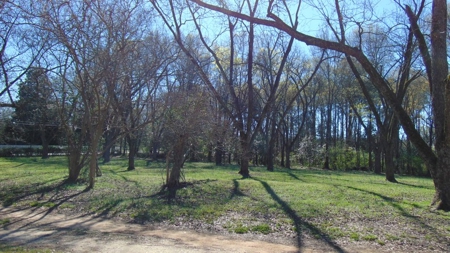 Historic Southern Home in Winnsboro, SC - image 15