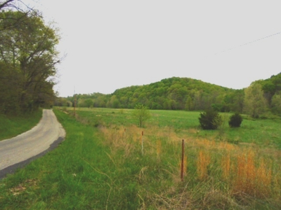 SW Missouri Land Auction- 285 Acres - Opening Bid $700/Acre - image 1