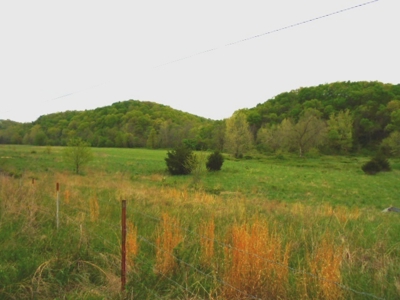 SW Missouri Land Auction- 285 Acres - Opening Bid $700/Acre - image 2