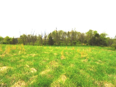 SW Missouri Land Auction- 285 Acres - Opening Bid $700/Acre - image 3