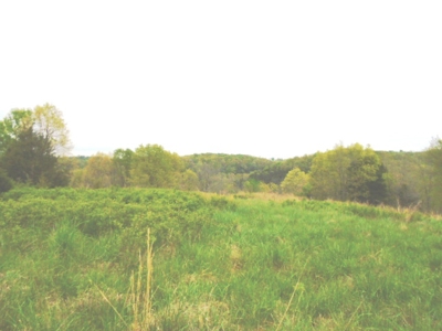 SW Missouri Land Auction- 285 Acres - Opening Bid $700/Acre - image 4