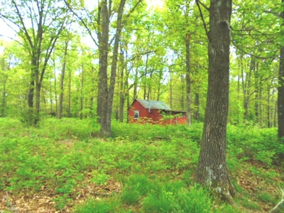 SW Missouri Land Auction- 285 Acres - Opening Bid $700/Acre - image 7