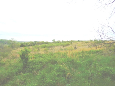 SW Missouri Land Auction- 285 Acres - Opening Bid $700/Acre - image 8