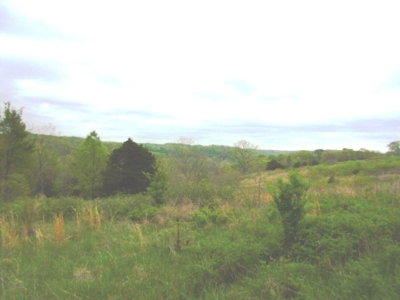 SW Missouri Land Auction- 285 Acres - Opening Bid $700/Acre - image 9
