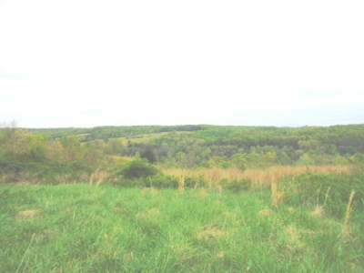 SW Missouri Land Auction- 285 Acres - Opening Bid $700/Acre - image 10