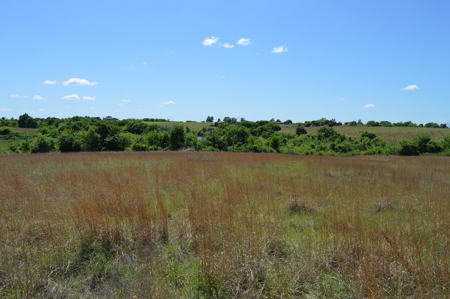 Acreage Land Home For Sale Ninnekah Grady County Oklahoma - image 5
