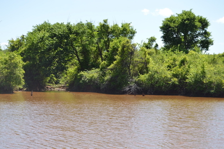 Acreage Land Home For Sale Ninnekah Grady County Oklahoma - image 6