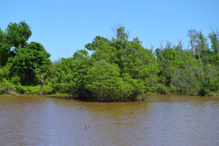 Acreage Land Home For Sale Ninnekah Grady County Oklahoma - image 7