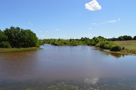 Acreage Land Home For Sale Ninnekah Grady County Oklahoma - image 8