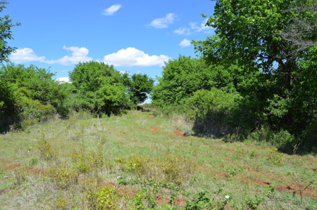Acreage Land Home For Sale Ninnekah Grady County Oklahoma - image 9