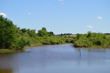 Acreage Land Home For Sale Ninnekah Grady County Oklahoma - image 14