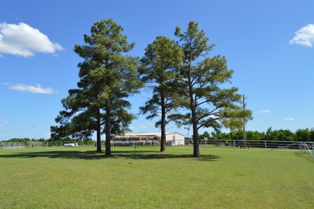 Acreage Land Home For Sale Ninnekah Grady County Oklahoma - image 15