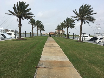 Coastal Lot for sale at Auction, Port O'Connor, Texas - image 13