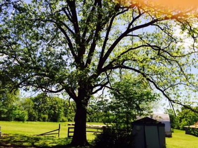 Country Home In Jonesboro Selling At Auction Online And Live - image 3