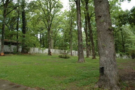 Auction June 23 Oxford MS - 7 adjoining homes Ole Miss - image 1