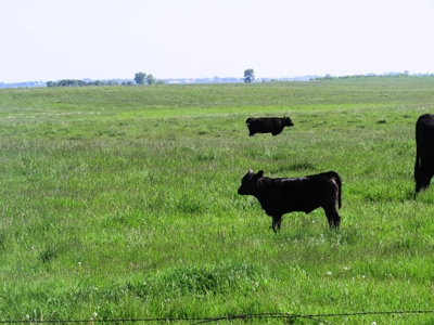 SOLD! $2515 per Acre. Land near Artesian, SD. - image 1