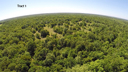No Reserve Auction, 600 Recreational Acres +/- Depew, OK - image 1