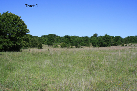 No Reserve Auction, 600 Recreational Acres +/- Depew, OK - image 3