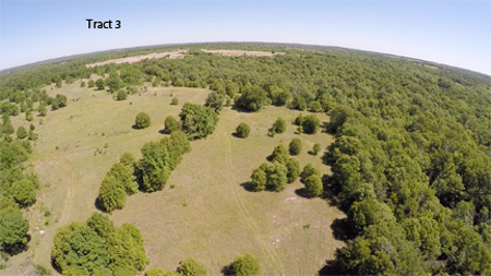 No Reserve Auction, 600 Recreational Acres +/- Depew, OK - image 7