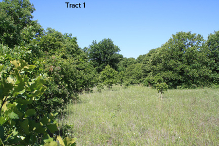 No Reserve Auction, 600 Recreational Acres +/- Depew, OK - image 9