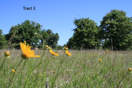 No Reserve Auction, 600 Recreational Acres +/- Depew, OK - image 12