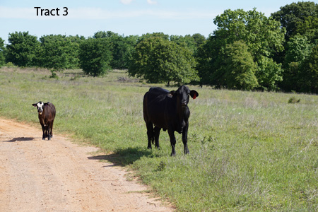 No Reserve Auction, 600 Recreational Acres +/- Depew, OK - image 13
