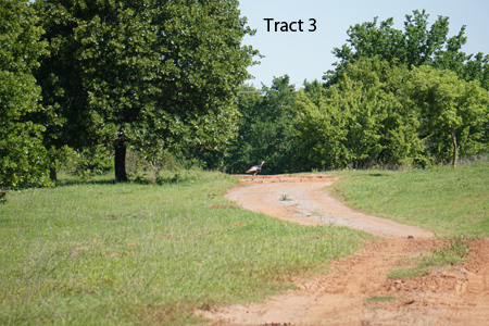 No Reserve Auction, 600 Recreational Acres +/- Depew, OK - image 14