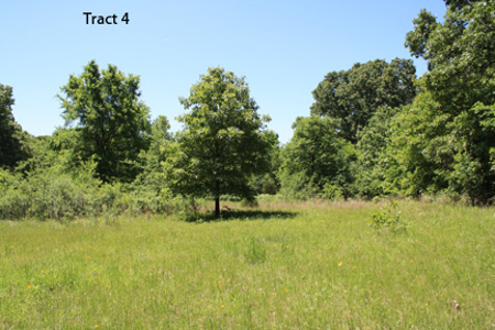 No Reserve Auction, 600 Recreational Acres +/- Depew, OK - image 16