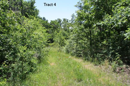 No Reserve Auction, 600 Recreational Acres +/- Depew, OK - image 17
