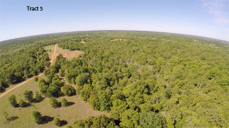 No Reserve Auction, 600 Recreational Acres +/- Depew, OK - image 18