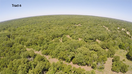 No Reserve Auction, 600 Recreational Acres +/- Depew, OK - image 20