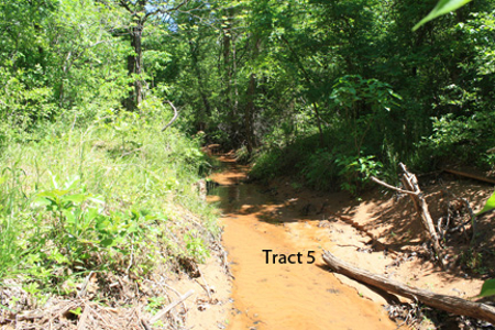 No Reserve Auction, 600 Recreational Acres +/- Depew, OK - image 22