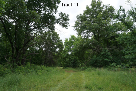 No Reserve Auction, 600 Recreational Acres +/- Depew, OK - image 39