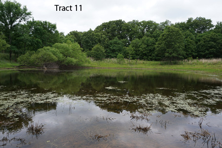 No Reserve Auction, 600 Recreational Acres +/- Depew, OK - image 40