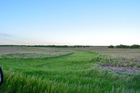 Cloud County, Kansas Farmland Acreage For Sale - image 6