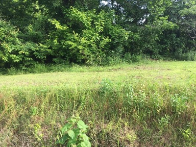 3 Bedroom Country Home in Ky at Auction - image 7