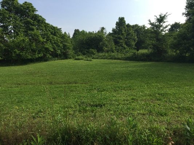 3 Bedroom Country Home in Ky at Auction - image 12